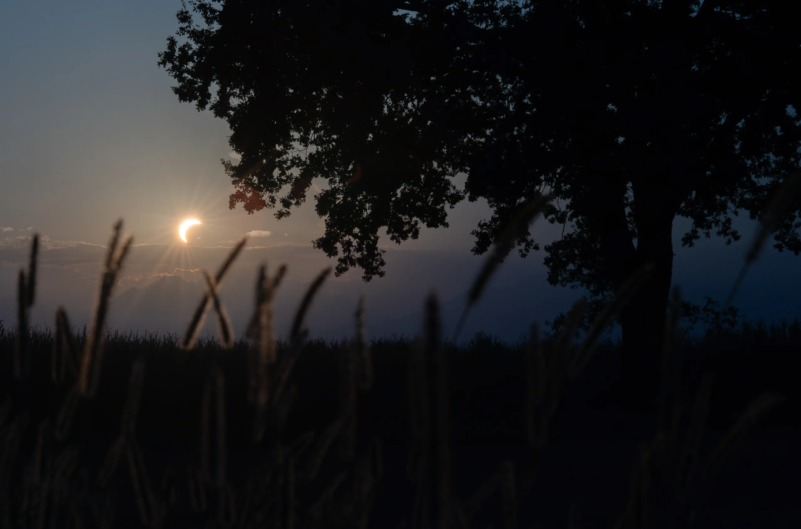eclissi solare vista da un campo